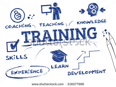 stock-vector-training-chart-with-keywords-and-icons-216077986